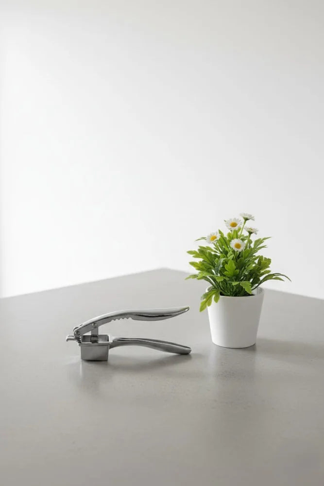 Multi-Function Garlic Crusher & Nut Cracker – Zinc Alloy Kitchen Tool with Mirror Finish